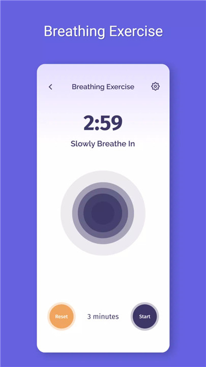 Brain Fit Life 5.0 screenshot