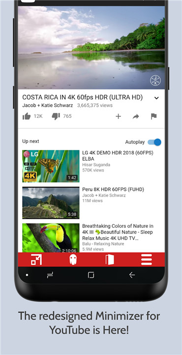 Minimizer for YouTube screenshot