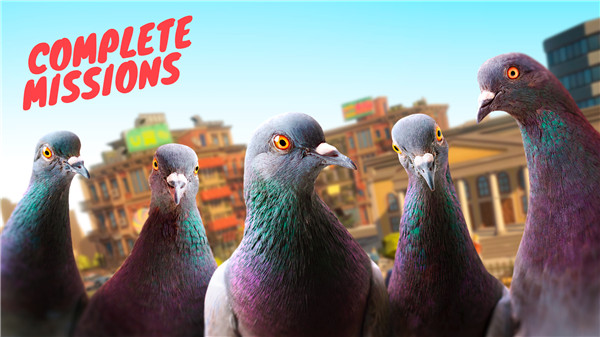 Pigeon screenshot