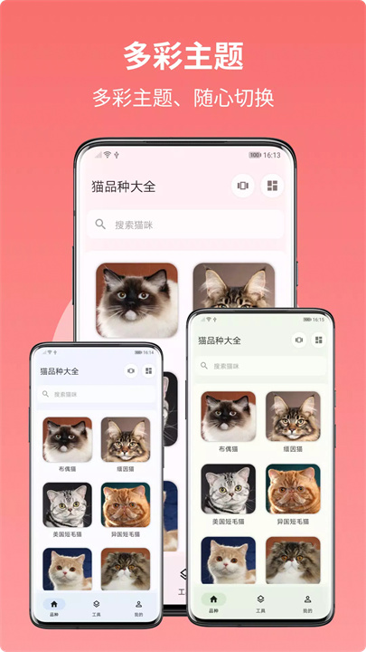 猫品种大全 screenshot