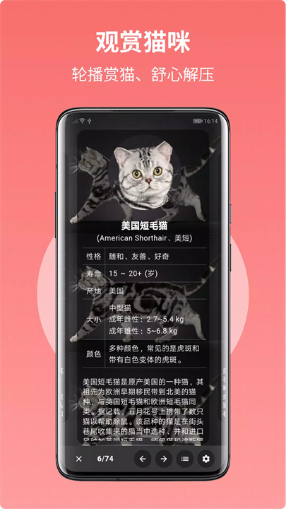 猫品种大全 screenshot