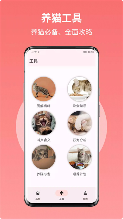 猫品种大全 screenshot