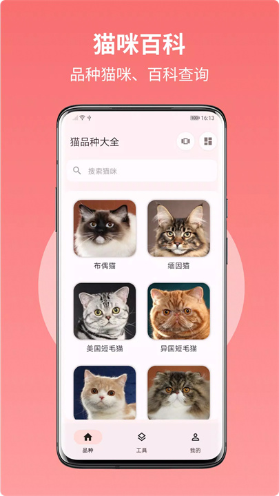 猫品种大全 screenshot