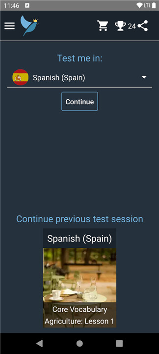 European Spanish Tests screenshot