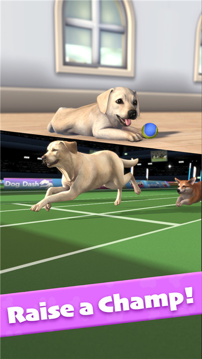 Pocket Paws: Dog Champions screenshot