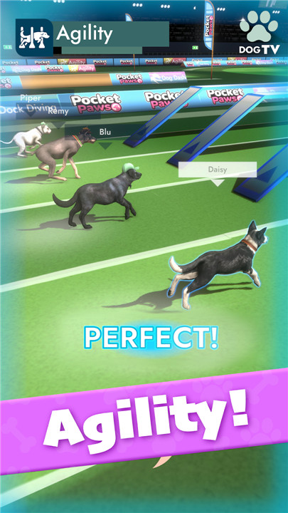 Pocket Paws: Dog Champions screenshot