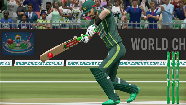 World Champions Cricket Games screenshot