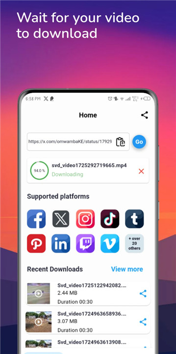 Social Video Downloader screenshot