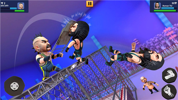 Rumble Wrestling screenshot