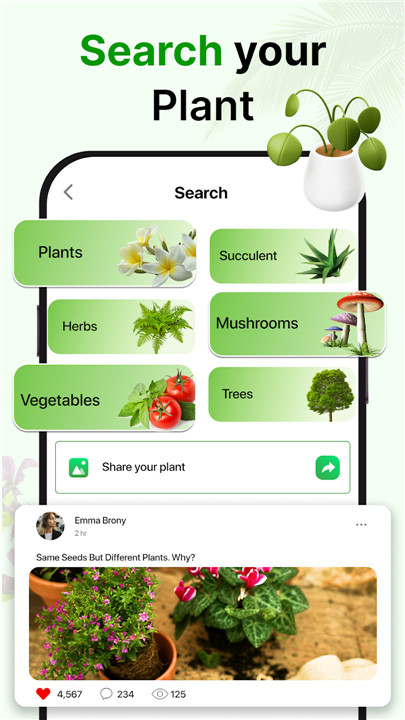 Plant Identifier Plant ID screenshot