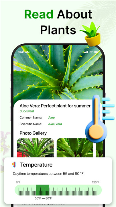 Plant Identifier Plant ID screenshot