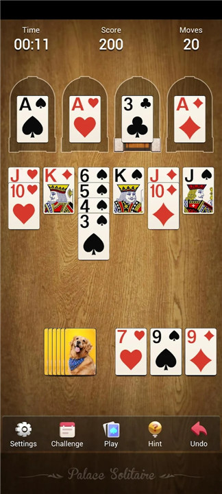 Palace Solitaire - Card Games screenshot