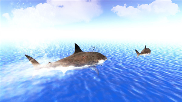 The Shark screenshot