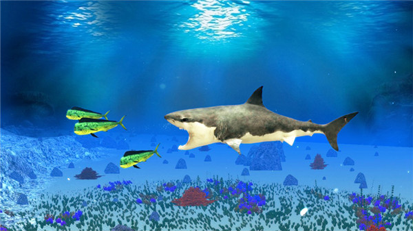 The Shark screenshot