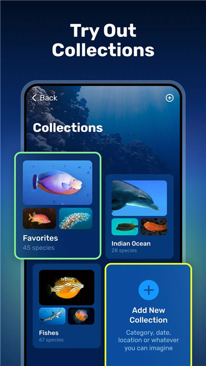 Seabook: Fish identifier screenshot