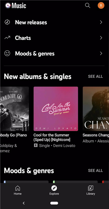 Vanced YouTube Music screenshot