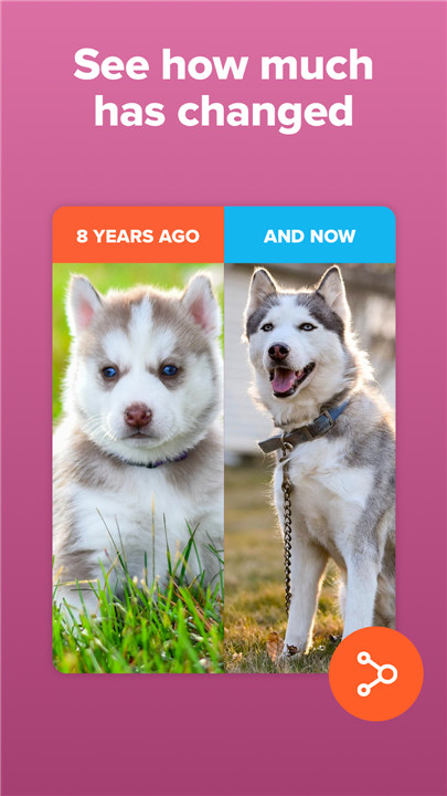 Timehop - Memories Then & Now screenshot