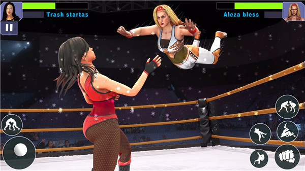 Bad Girls Wrestling Game screenshot