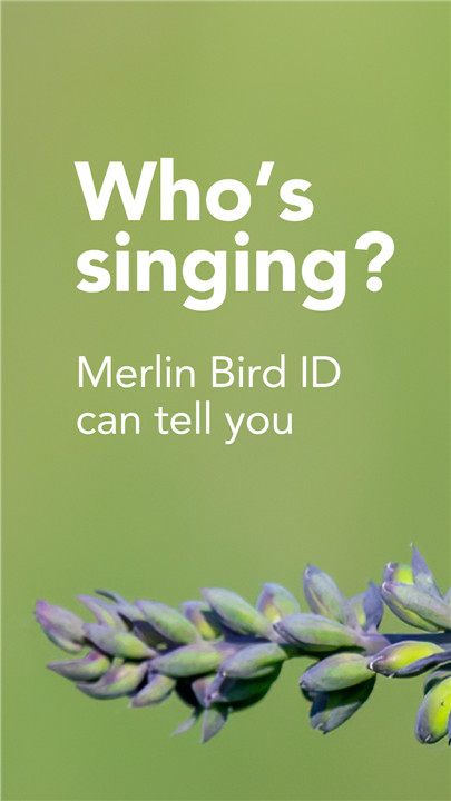 Merlin Bird ID by Cornell Lab screenshot