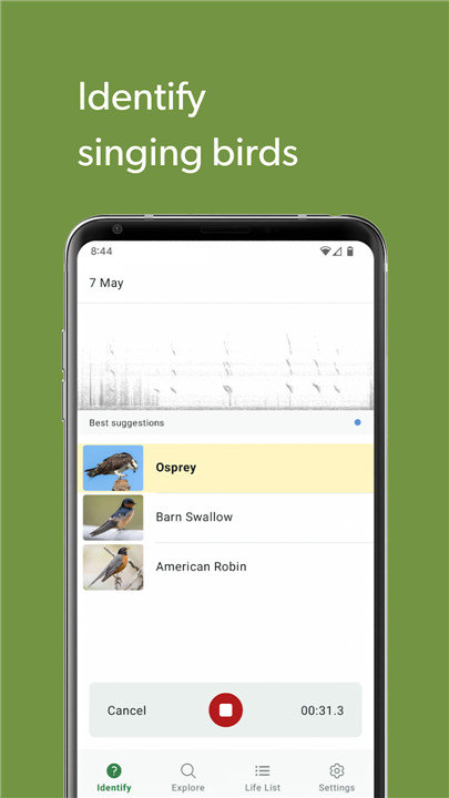 Merlin Bird ID by Cornell Lab screenshot