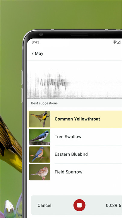 Merlin Bird ID by Cornell Lab screenshot