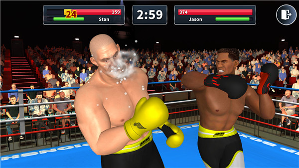 Boxing Arena screenshot