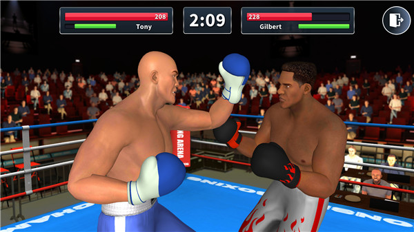 Boxing Arena screenshot