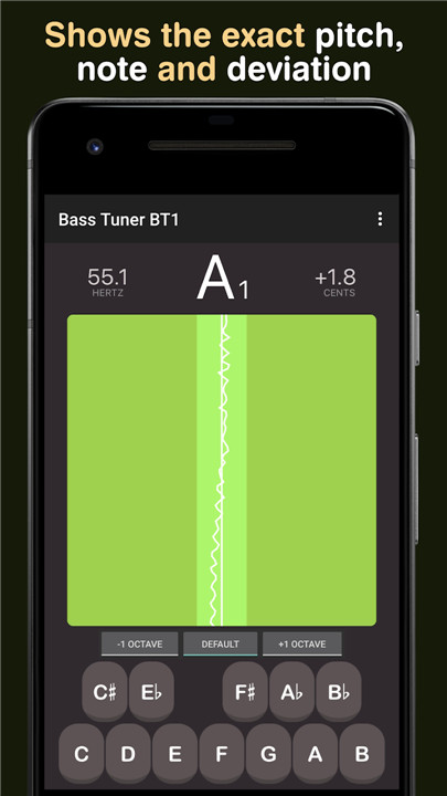 Bass Tuner BT1 screenshot