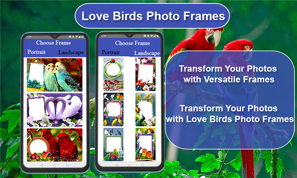 Love Birds Photo Frames screenshot