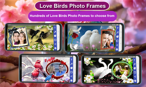 Love Birds Photo Frames screenshot