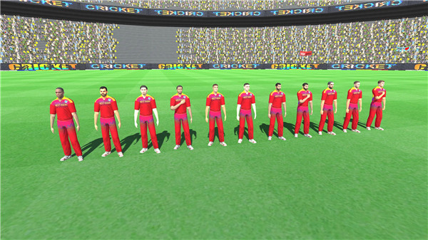 Real Championship Cricket Game screenshot