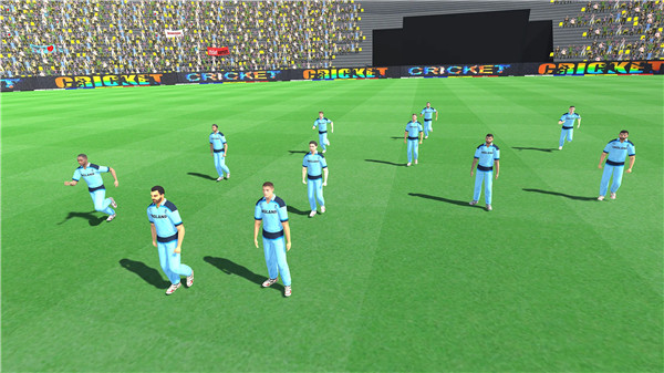 Real Championship Cricket Game screenshot