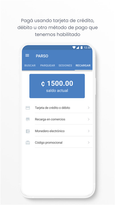 Parso Street Parking screenshot