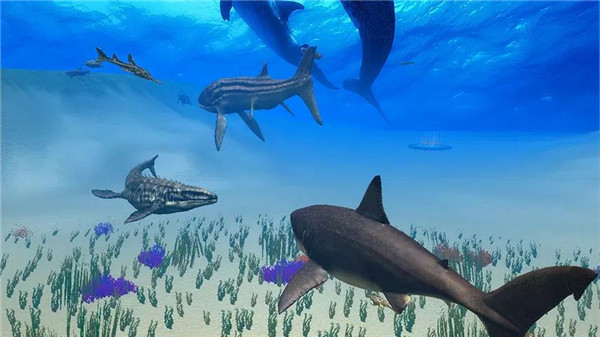 Megalodon Simulator screenshot