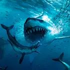 Megalodon Dino Survival Sim