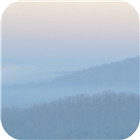 Quieting Anxiety: CBT Tools