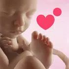 Preggers: Pregnancy & Baby App