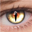 FoxEyes - Change Eye Color logo