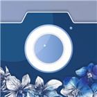 SeneLook logo