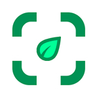 Plant identifier from photo logo