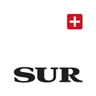 Diario Sur