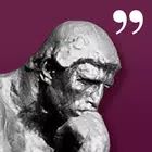 Philosophy Quotes, Daily Stoic
