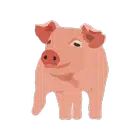 My Piggery Manager Farm app