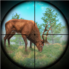 Deer Hunting Simulation Game