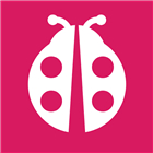 Vikiroom: Not Just Dating