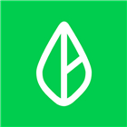 Branch: A Better Payday