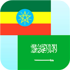 Amharic Arabic Translator