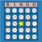 Classic Bingo Touch