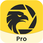 WikiFX-Broker Regulatory APP