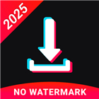 Download video no watermark